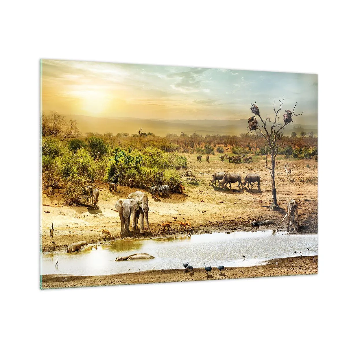 Glasbild - Bild auf glas - Elefanten und Tiere an einer Wasserstelle vor dem Hintergrund einer afrikanischen Landschaft - 100x70cm - Ein Fluss floss aus Eden ... - Moderne Wanddekoration für Wohnzimmer und Schlafzimmer ARTTOR