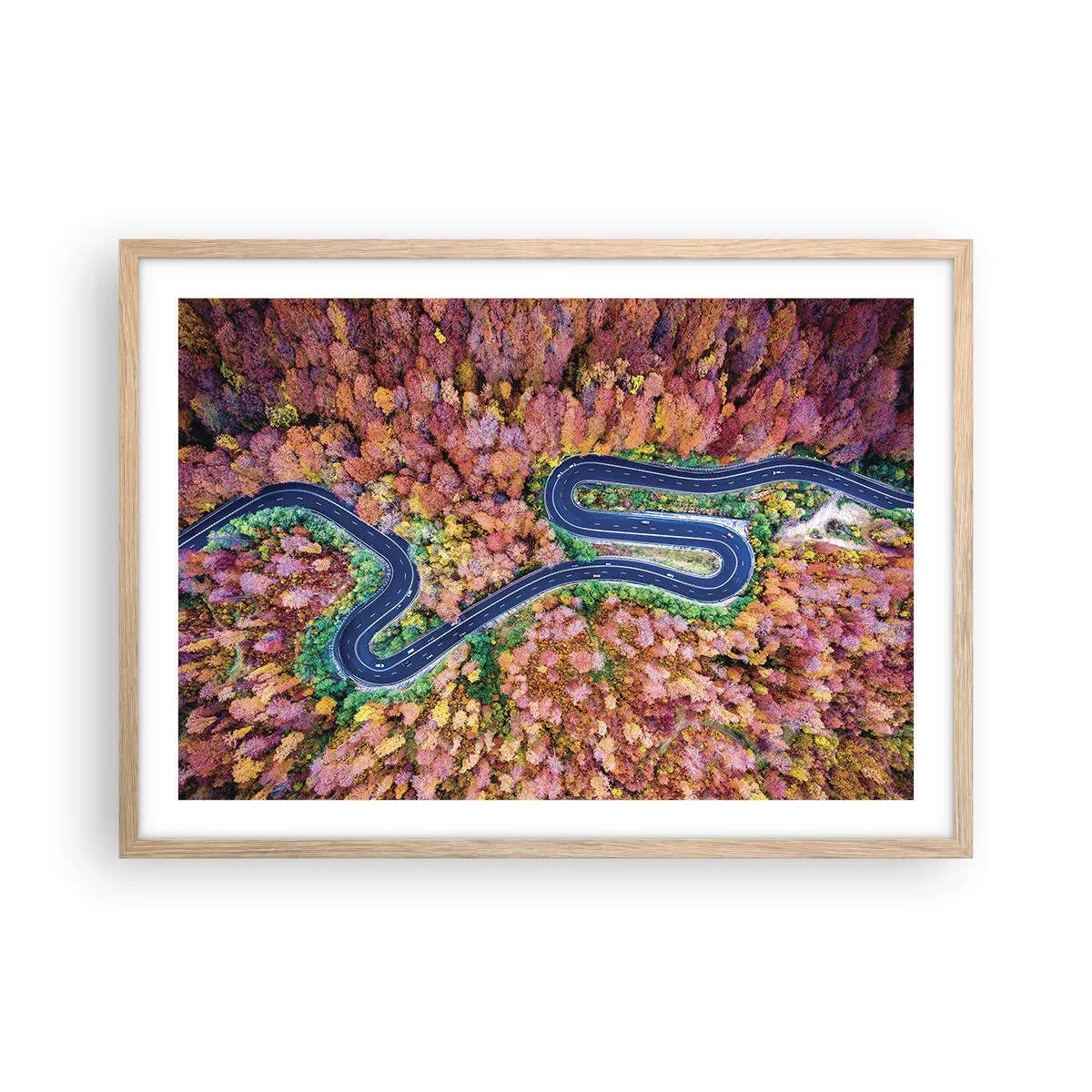Poster in einem Rahmen aus heller Eiche - Kurvenreicher Weg durch den Wald - 70x50 cm
