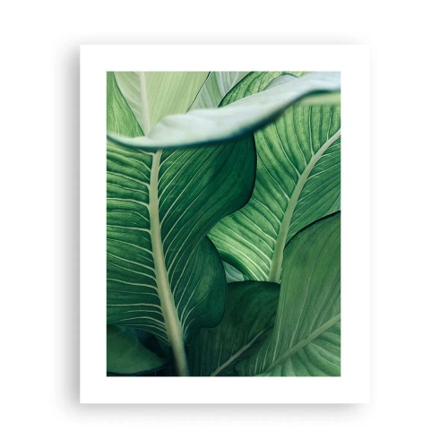 Poster - Intensiv grünes Leben - 40x50 cm