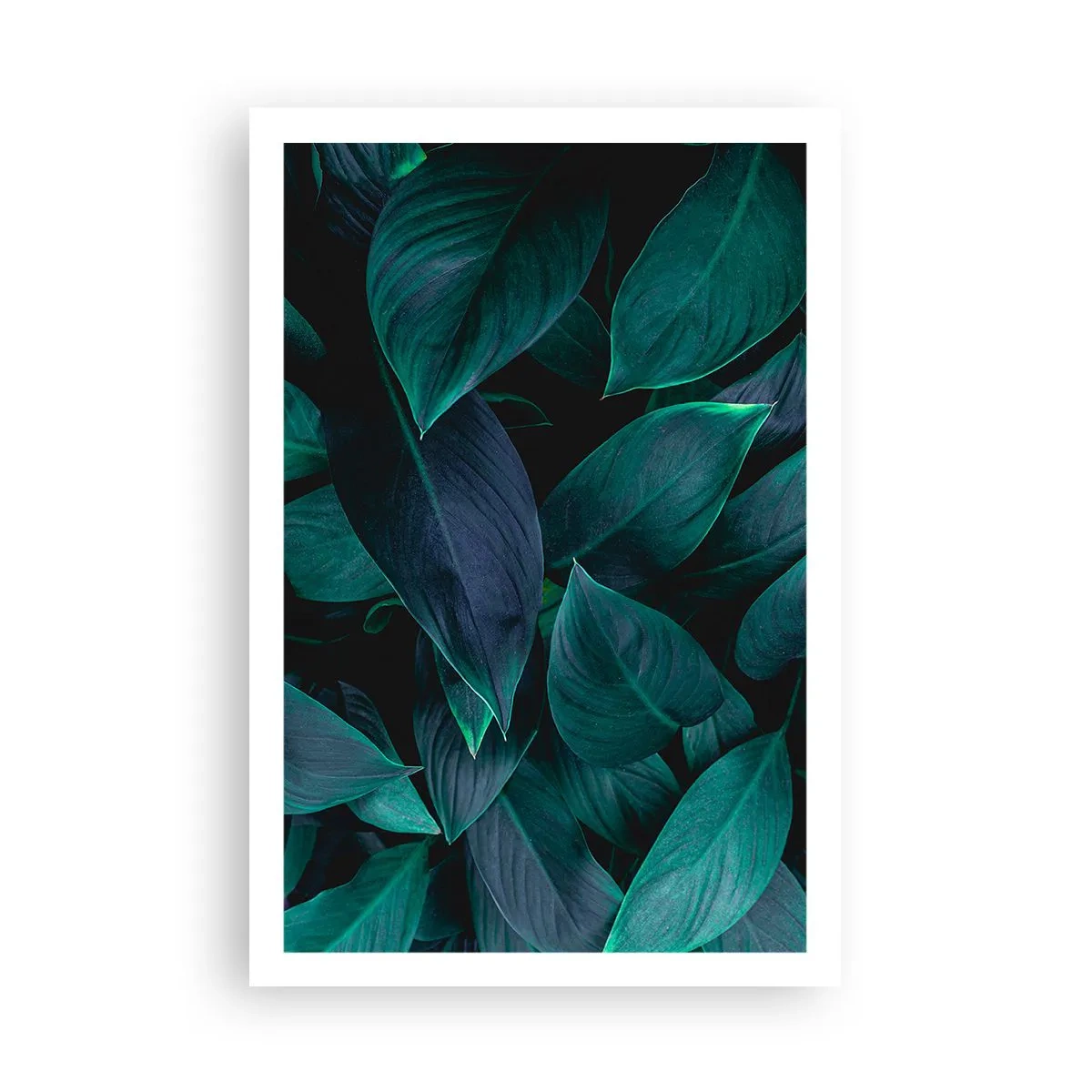 Poster - Grün in sich selbst - 61x91 cm