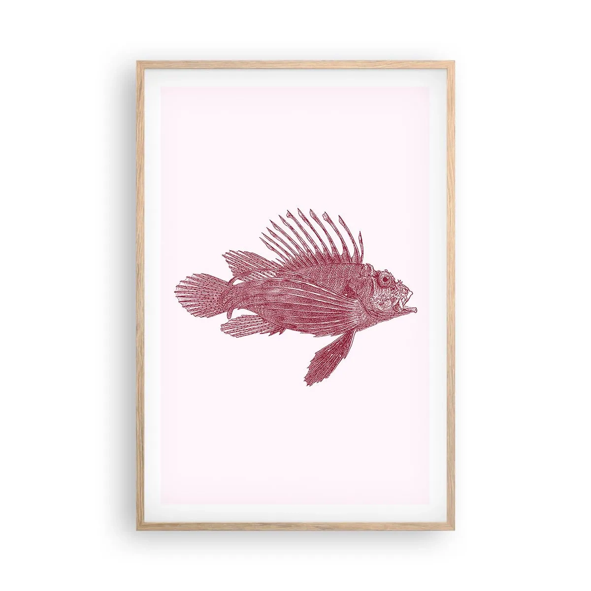 Poster in einem Rahmen aus heller Eiche - Bewohner exotischer Gewässer - 61x91 cm