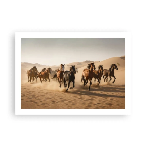 Poster - Frei wie der Wind - 70x50 cm