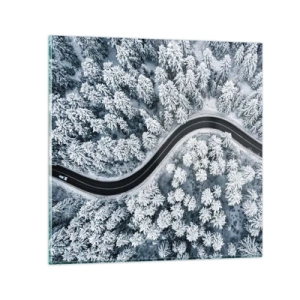 Glasbild - Bild auf glas - Durch den Winterwald - 30x30 cm