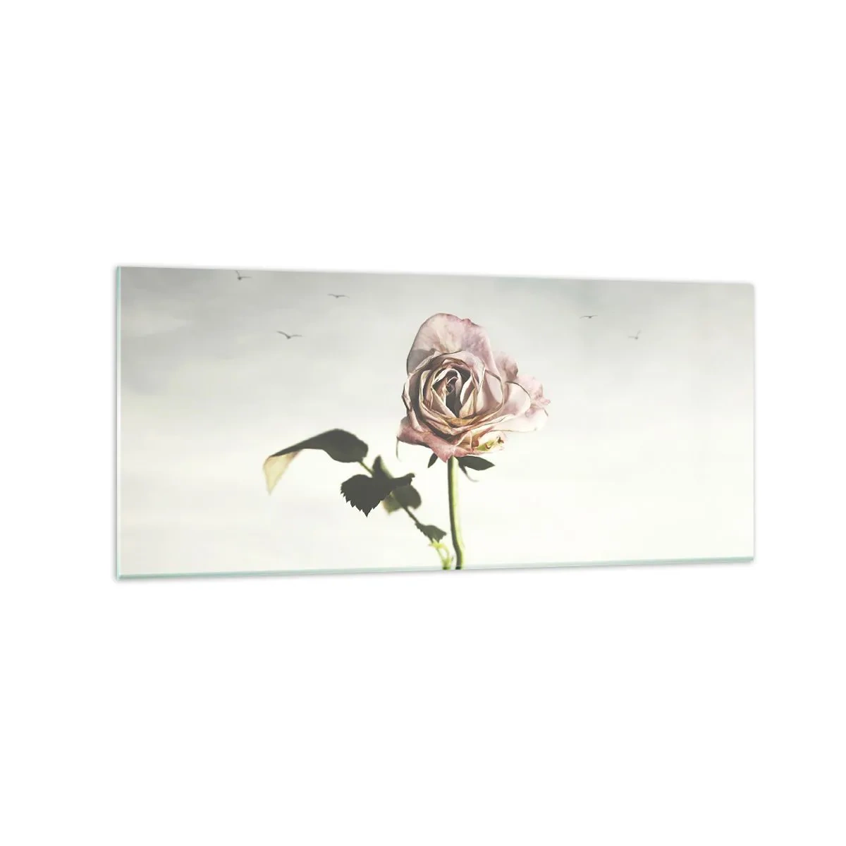 Glasbild - Bild auf glas - Eine zarte Rose vor einem hellen Himmel mit fliegenden Vögeln - 120x50cm - Begrüßung des Frühlings - Moderne Wanddekoration für Wohnzimmer und Schlafzimmer ARTTOR