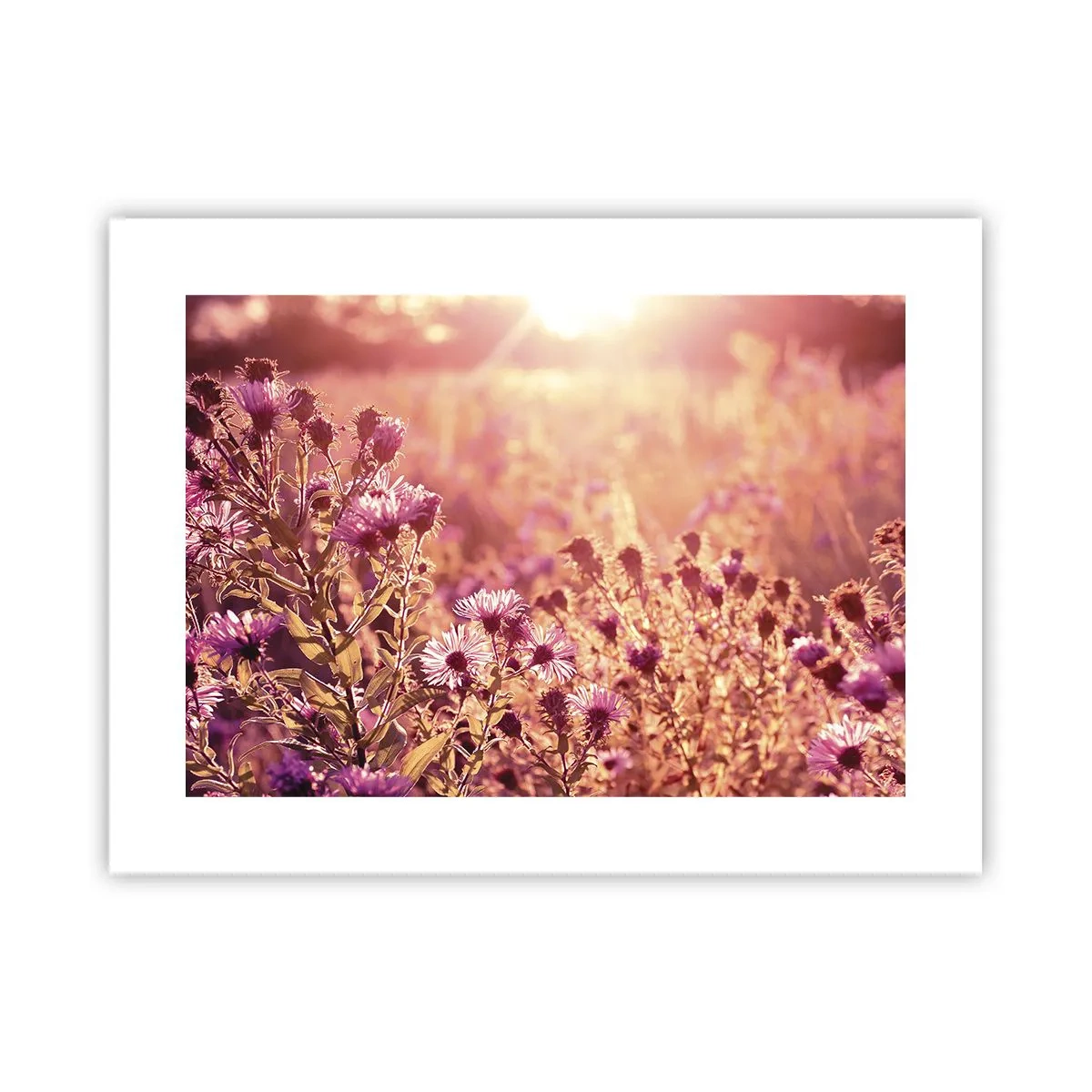Poster - Bevor der Sommer vorbei ist - 40x30 cm