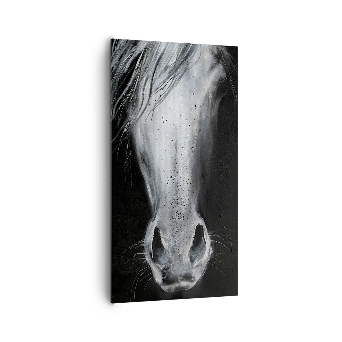 Bild auf Leinwand - Leinwandbild - Verführerischer Look - 65x120 cm