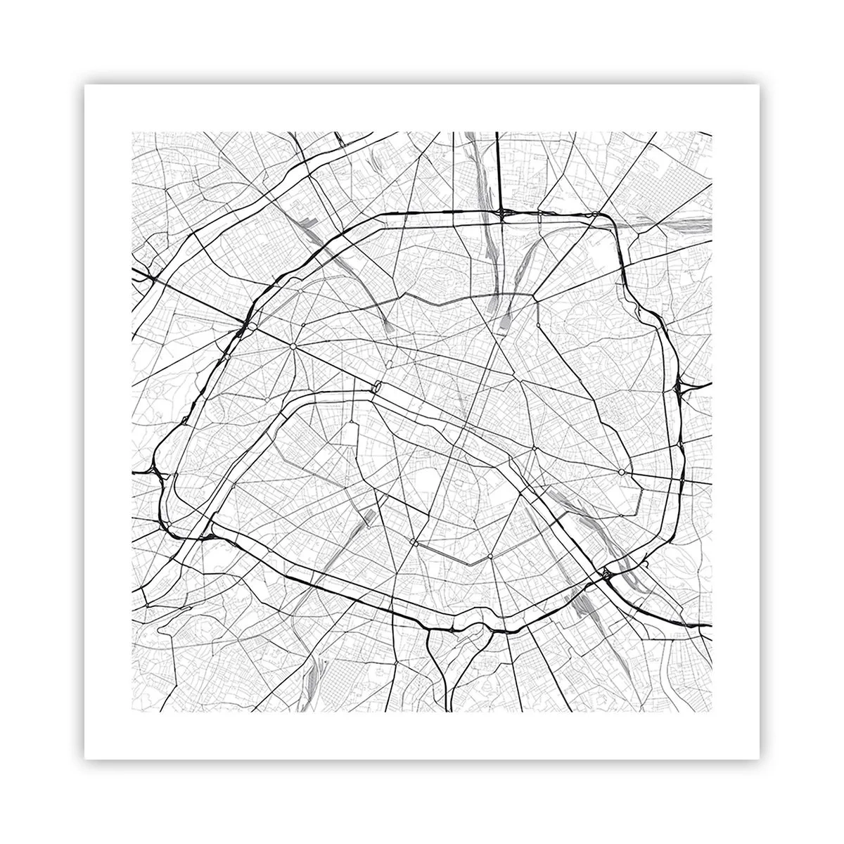 Poster - Pariser Blume - 50x50 cm