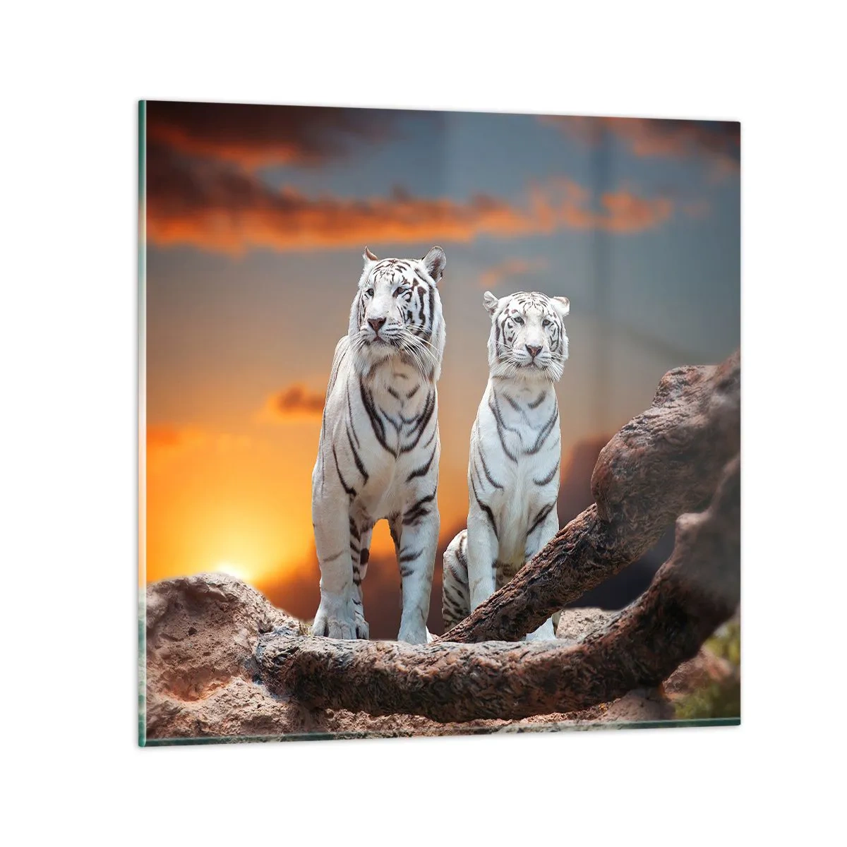 Glasbild - Bild auf glas - Genau wie Narnia - 70x70 cm