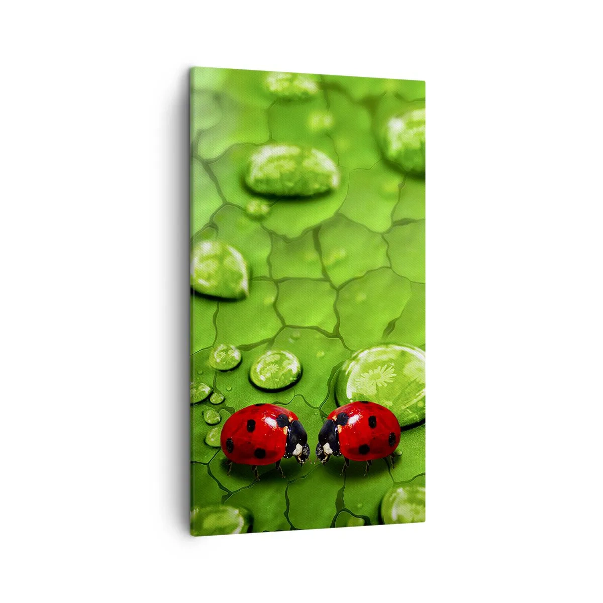 Bild auf Leinwand - Leinwandbild - Treffen im Grünen - 45x80 cm