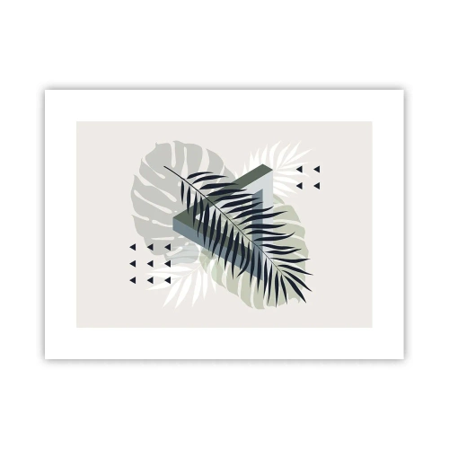 Poster - Natur und Geometrie – zwei Ordnungen? - 40x30 cm