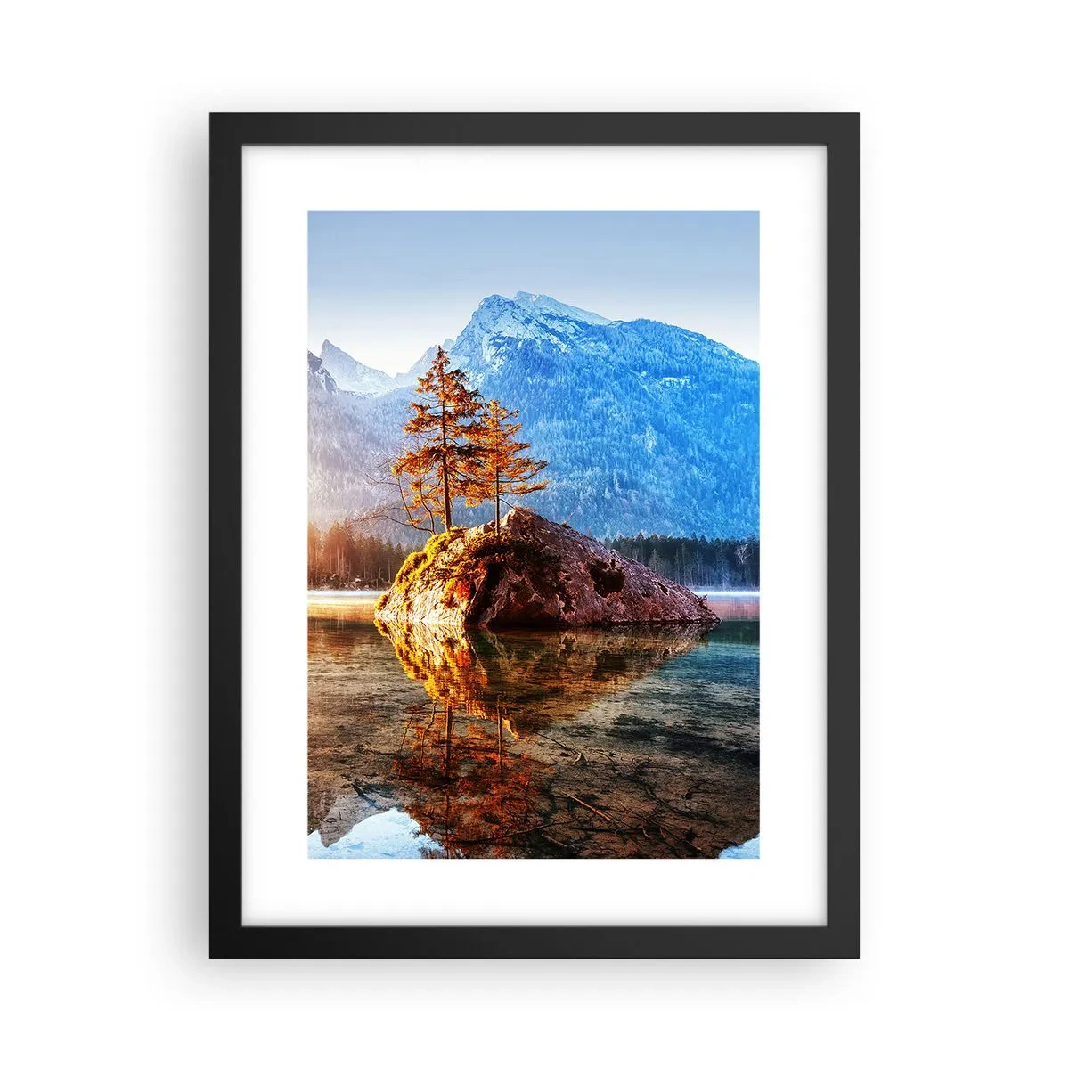 Poster in einem schwarzem Rahmen - Natur in neuem Licht - 30x40 cm