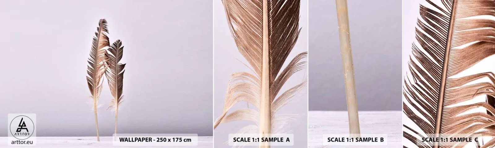 Fototapeten Muster Selbstklebend Deluxe Sticker - Gegen das Nichts - Vogelfeder, Stück, Grafik - 100x30 cm