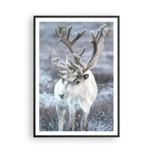 Poster in einem schwarzem Rahmen - Porträt in der Sonne - 70x100 cm