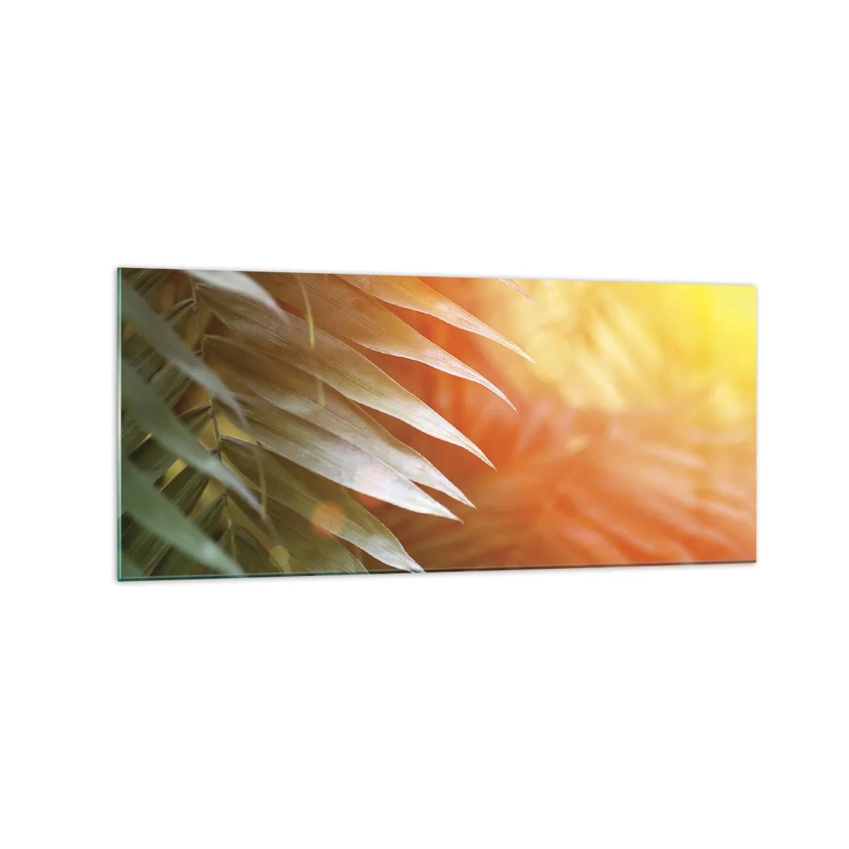 Glasbild - Bild auf glas - Palmblätter in den Strahlen des Sonnenuntergangs - 120x50cm - Morgen im Dschungel - Moderne Wanddekoration für Wohnzimmer und Schlafzimmer ARTTOR