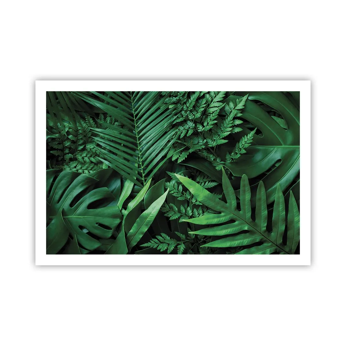 Poster - Eingebettet ins Grüne - 91x61 cm