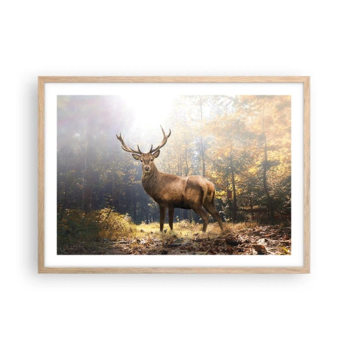 Poster in einem Rahmen aus heller Eiche - In voller Majestät - 70x50 cm