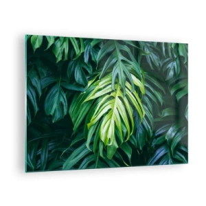 Glasbild - Bild auf glas - Üppig grüne Monstera-Blätter im natürlichen Licht - 70x50cm - Tauchen Sie ein in die Frische - Moderne Wanddekoration für Wohnzimmer und Schlafzimmer ARTTOR