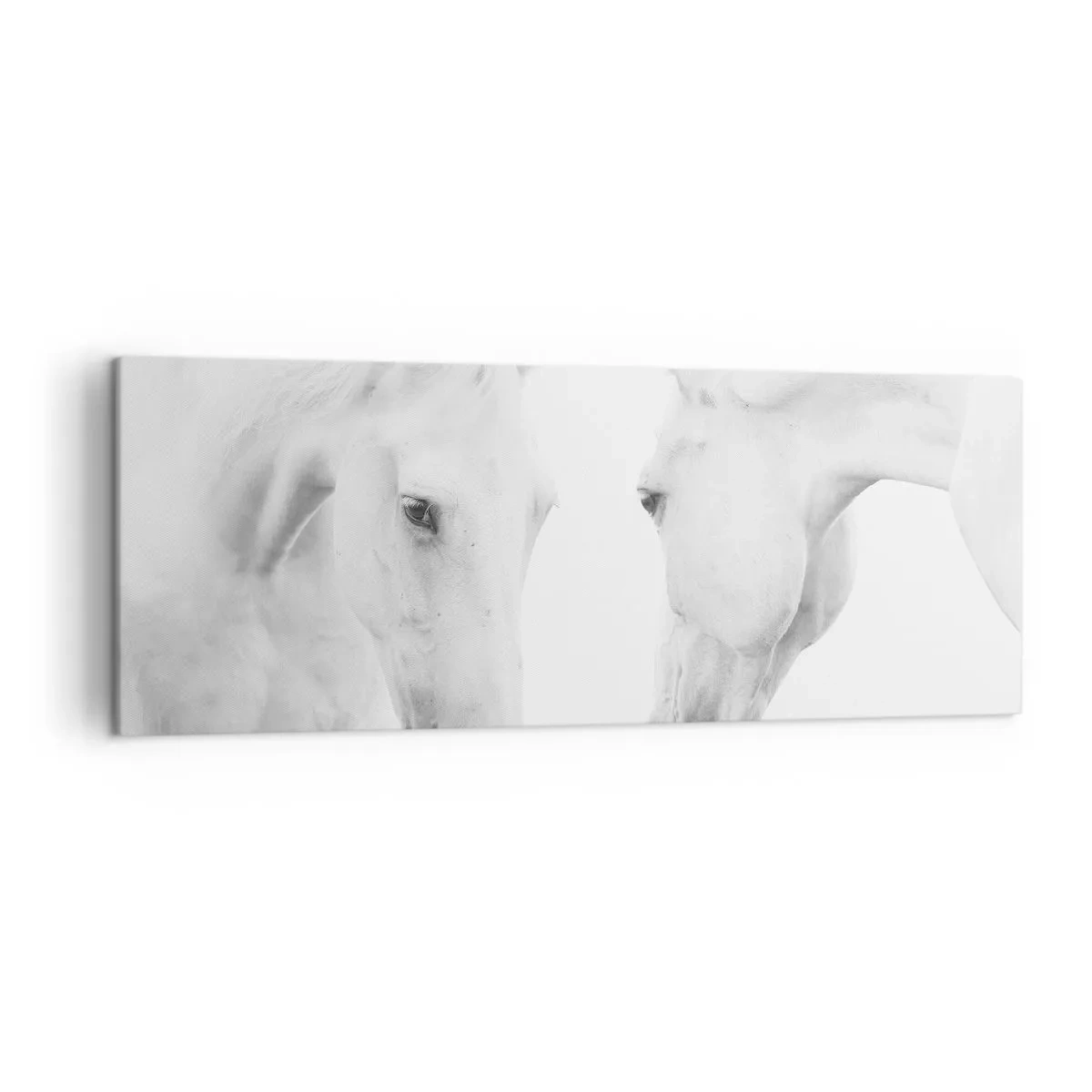 Bild auf Leinwand - Leinwandbild - Ein minimalistisches Porträt zweier weißer Pferde - 140x50cm - Ist das Freundschaft...? - Moderne Wanddekoration für Wohnzimmer und Schlafzimmer ARTTOR