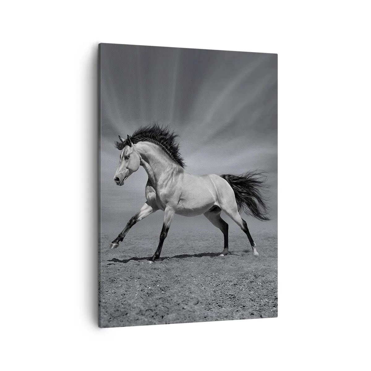 Bild auf Leinwand - Leinwandbild - Ein schwarz-weißes Pferd in einer dynamischen Pose in der Wüste. - 50x70cm - Geboren um Freude zu bereiten - Moderne Wanddekoration für Wohnzimmer und Schlafzimmer ARTTOR