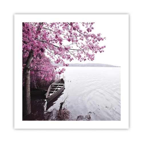 Poster - In rosa Stille - 50x50 cm