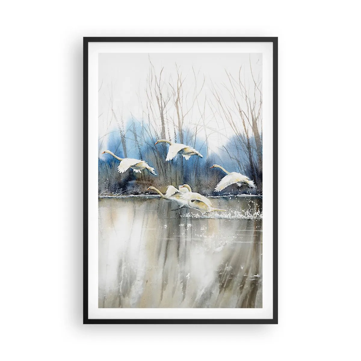 Poster in einem schwarzem Rahmen - Wie im Märchen von den wilden Schwänen - 61x91 cm