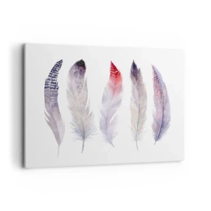 Bild auf Leinwand - Leinwandbild - Fünf zarte Federn in Pastelltönen auf hellem Untergrund - 120x80cm - Zart wie mehrfarbiger Nebel - Moderne Wanddekoration für Wohnzimmer und Schlafzimmer ARTTOR