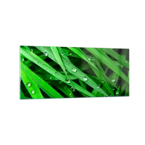 Glasbild - Bild auf glas - Nahaufnahme von grünen Grashalmen mit Tautropfen - 120x50cm - Grün spielen - Moderne Wanddekoration für Wohnzimmer und Schlafzimmer ARTTOR