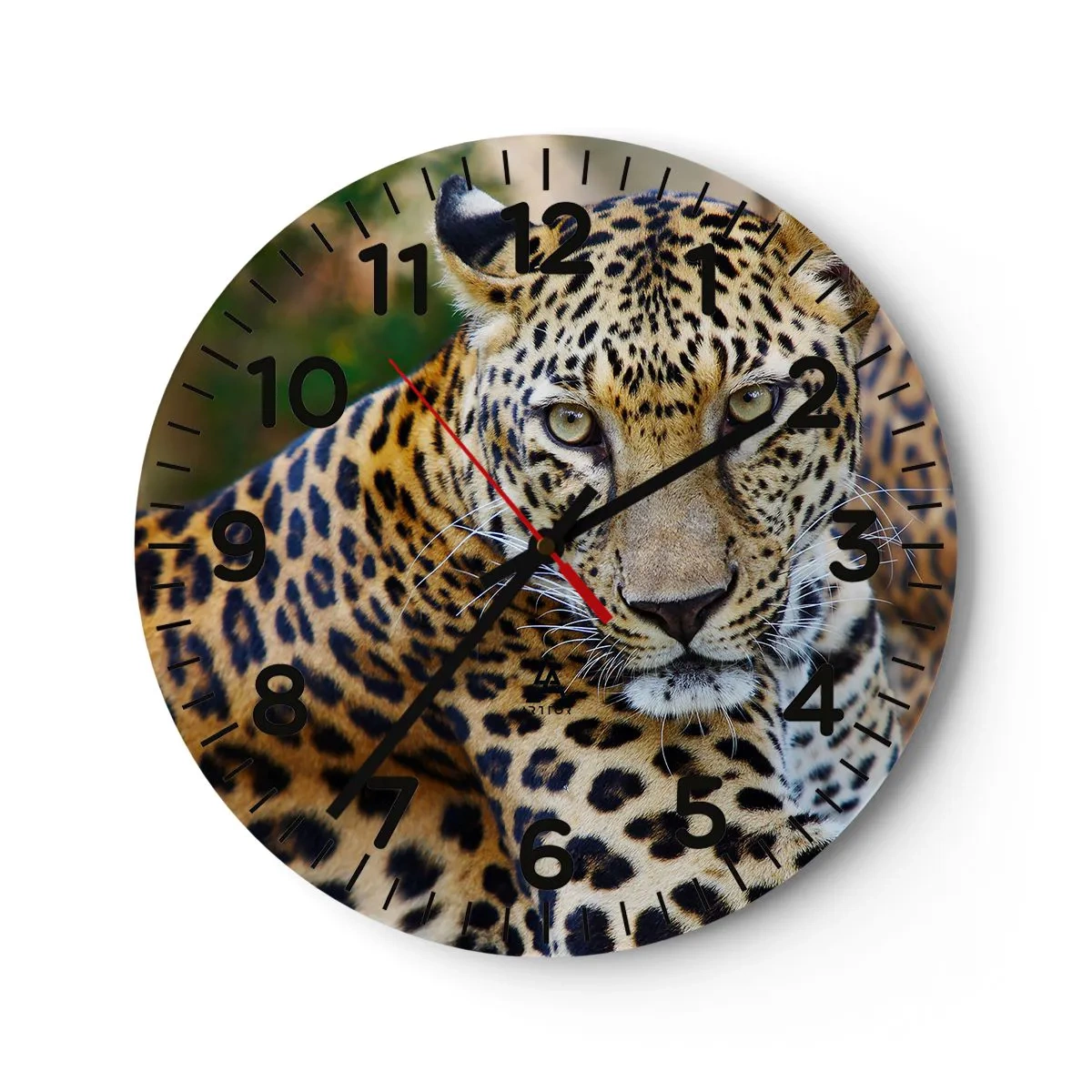 Wanduhr - Glasuhr - Wild und ruhig - 30x30 cm