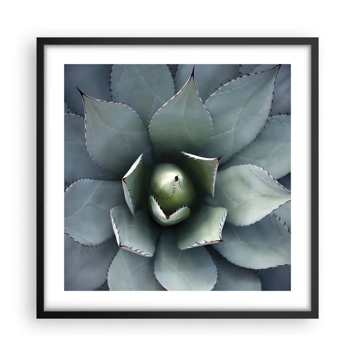 Poster in einem schwarzem Rahmen - Es lockt an und warnt - 50x50 cm