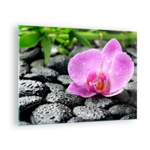 Glasbild - Bild auf glas - Rosa Orchideenblüte auf nassen schwarzen Steinen - 70x50cm - Wie ein offenes Herz - Moderne Wanddekoration für Wohnzimmer und Schlafzimmer ARTTOR