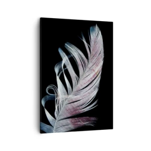 Bild auf Leinwand - Leinwandbild - Eine zarte Feder auf schwarzem Hintergrund in einem künstlerischen Ansatz - 50x70cm - Denke an Berührung - Moderne Wanddekoration für Wohnzimmer und Schlafzimmer ARTTOR