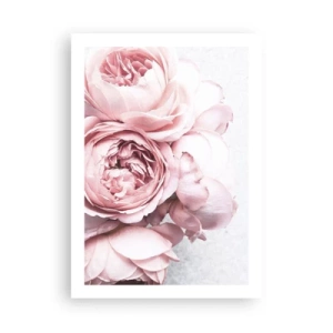 Poster - Zarte rosa Pfingstrose Blumen Nahaufnahme - 50x70cm - Für Romantiker - Moderne Wanddekoration für Wohnzimmer und Schlafzimmer ARTTOR