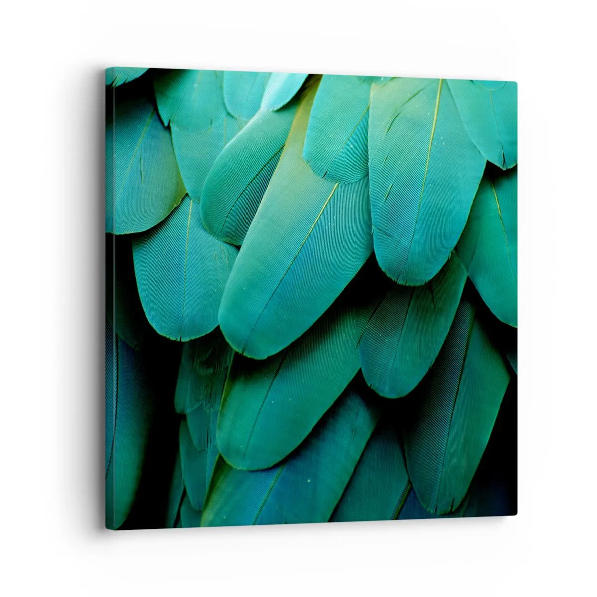 Bild auf Leinwand - Leinwandbild - Papageienartige Präzision - 30x30 cm