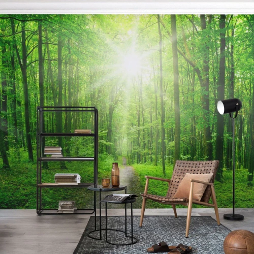 Fototapete Premium Canvas - Die grüne Kathedrale - Landschaft, Wald, Sonnenstrahlen - 400x280 cm