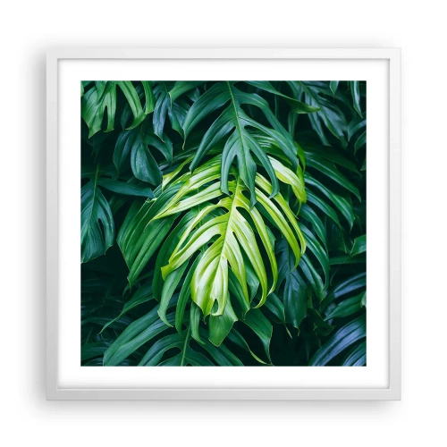 Poster in einem weißen Rahmen - Tauchen Sie ein in die Frische - 50x50 cm