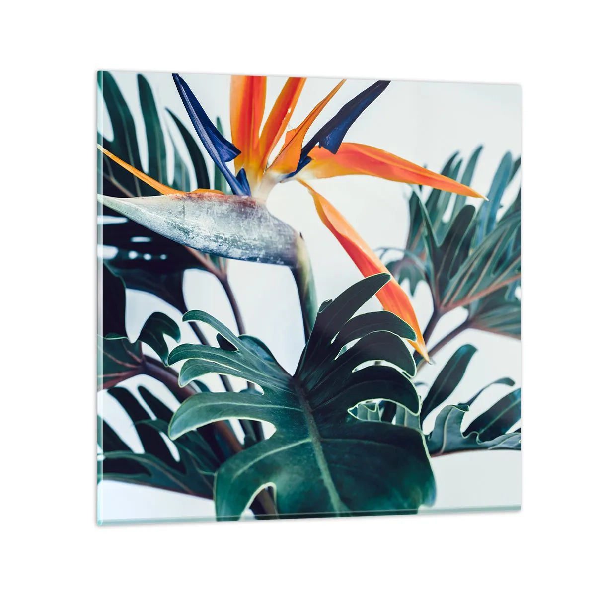 Glasbild - Bild auf glas - Vogelbusch - 70x70 cm