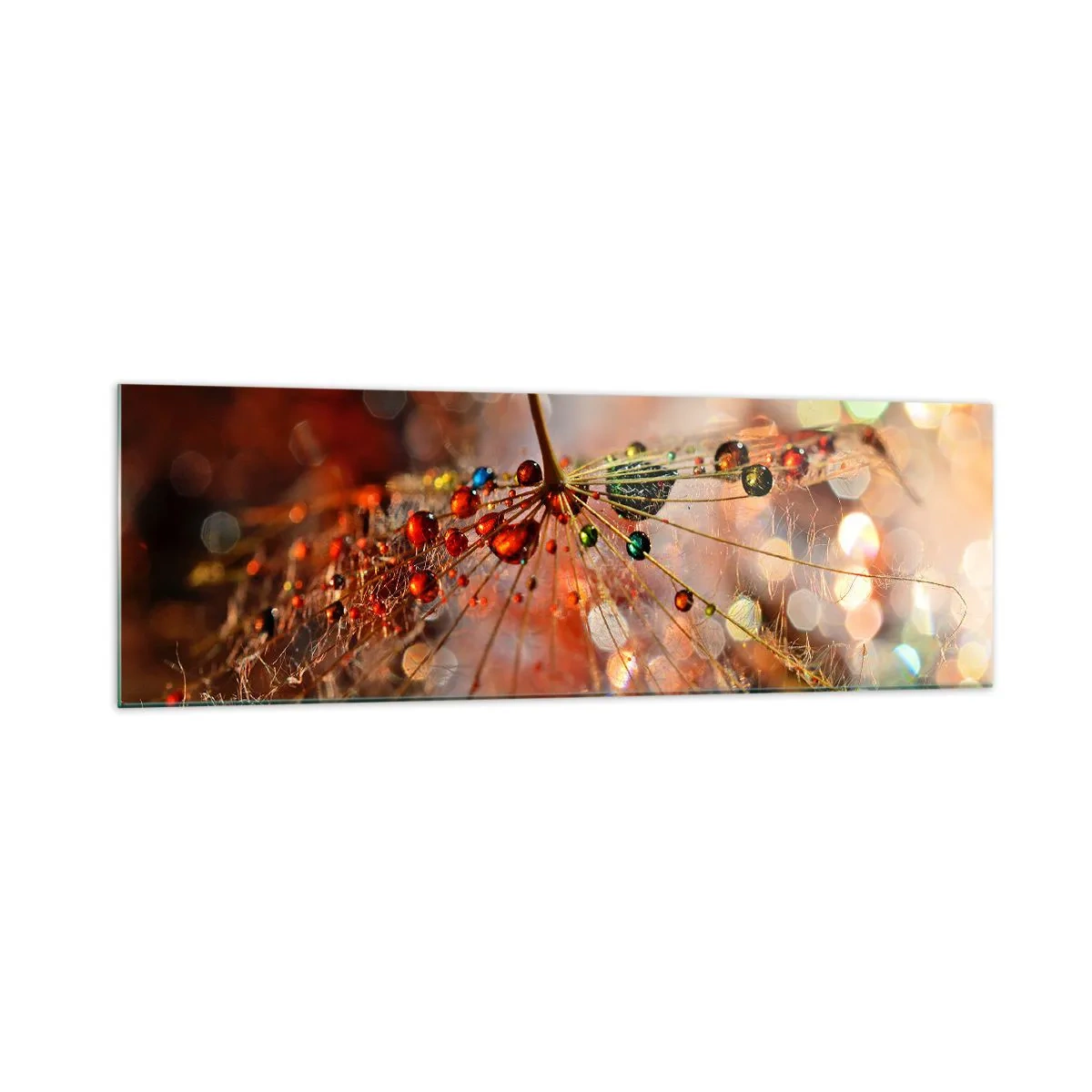 Glasbild - Bild auf glas - Makrofotografie eines Wassertropfens auf einer zarten Pflanze - 160x50cm - Auf einem Spinnenfaden aufgefädelt - Moderne Wanddekoration für Wohnzimmer und Schlafzimmer ARTTOR