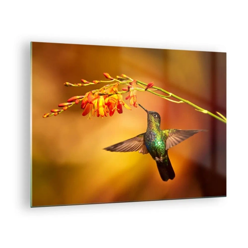 Glasbild - Bild auf glas - Kolibri neben Blumen in goldenem Glanz - 70x50cm - Ein Lichtbote nach den Maya - Moderne Wanddekoration für Wohnzimmer und Schlafzimmer ARTTOR