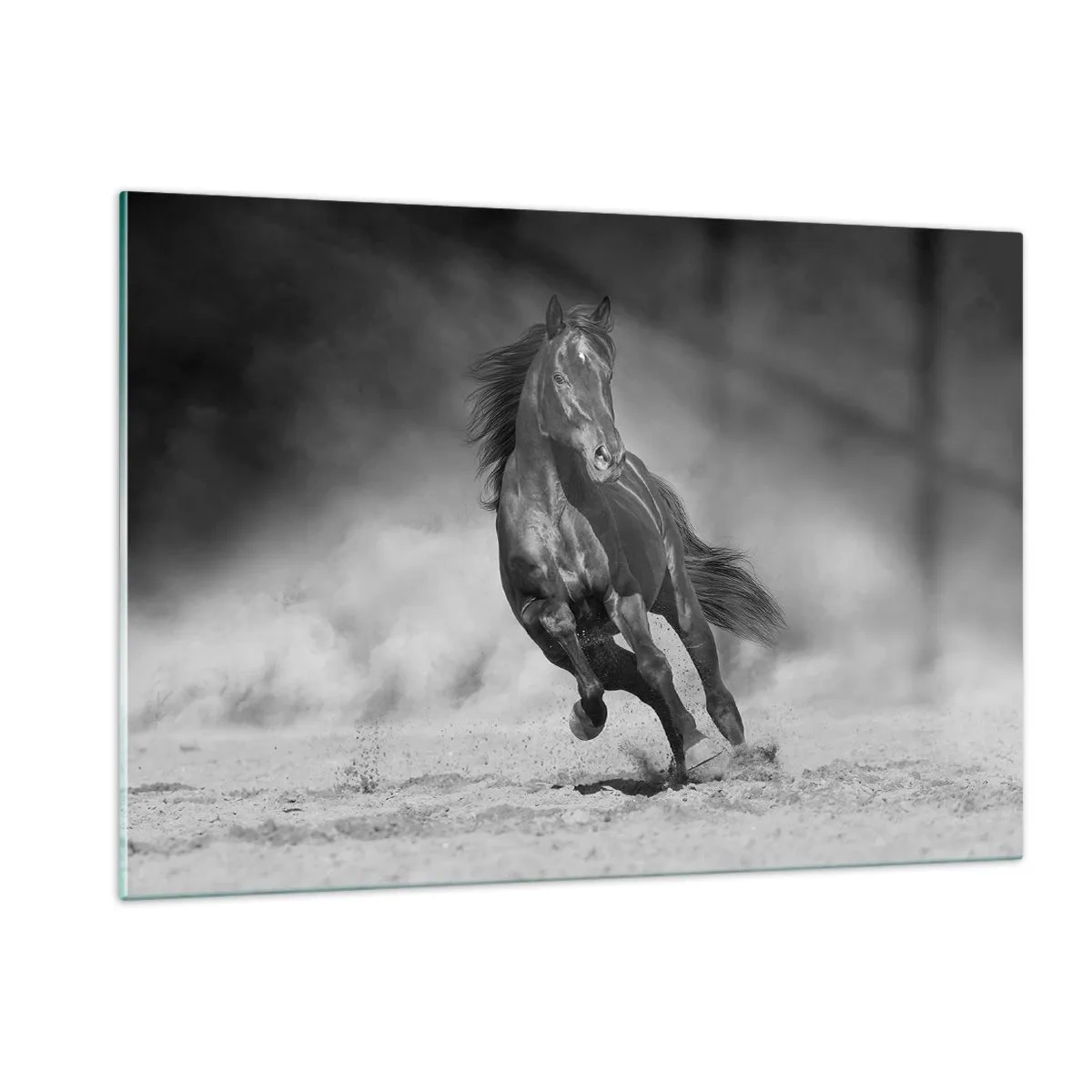 Glasbild - Bild auf glas - Ein schwarzes Pferd, das in Schwarz und Weiß über den Sand galoppiert. - 120x80cm - Würdig des Emirs selbst - Moderne Wanddekoration für Wohnzimmer und Schlafzimmer ARTTOR