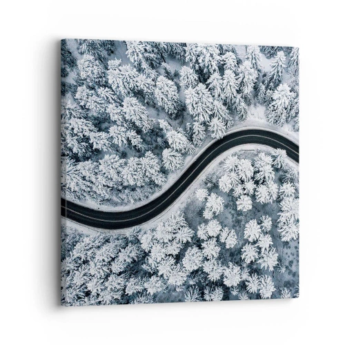 Bild auf Leinwand - Leinwandbild - Durch den Winterwald - 30x30 cm