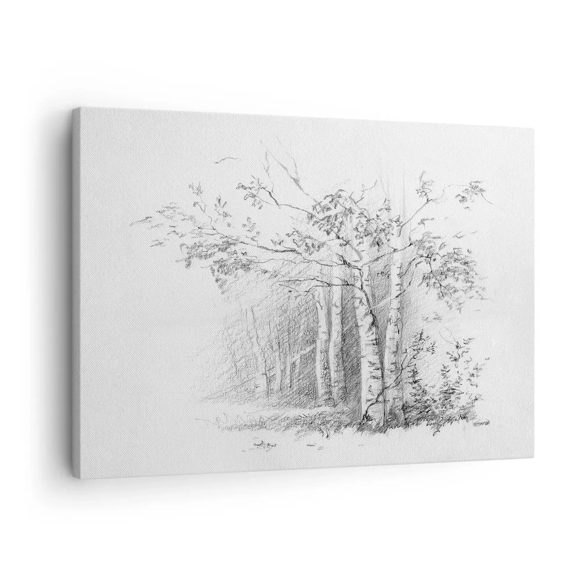 Bild auf Leinwand - Leinwandbild - Eine Zeichnung eines Birkenwaldes in einer subtilen Bleistiftskizze - 70x50cm - Das Licht des Birkenwaldes - Moderne Wanddekoration für Wohnzimmer und Schlafzimmer ARTTOR