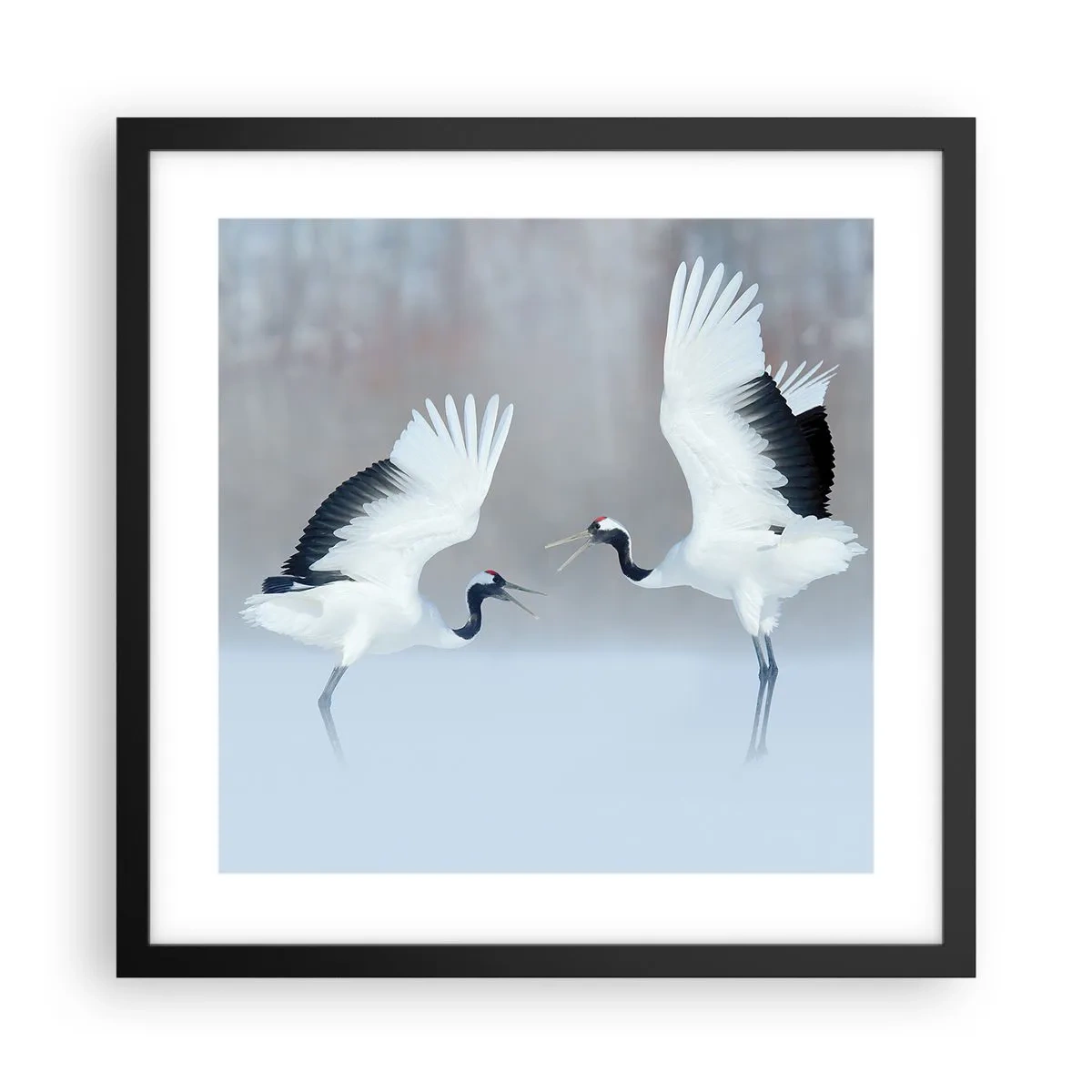 Poster in einem schwarzem Rahmen - Tanz im Nebel - 40x40 cm