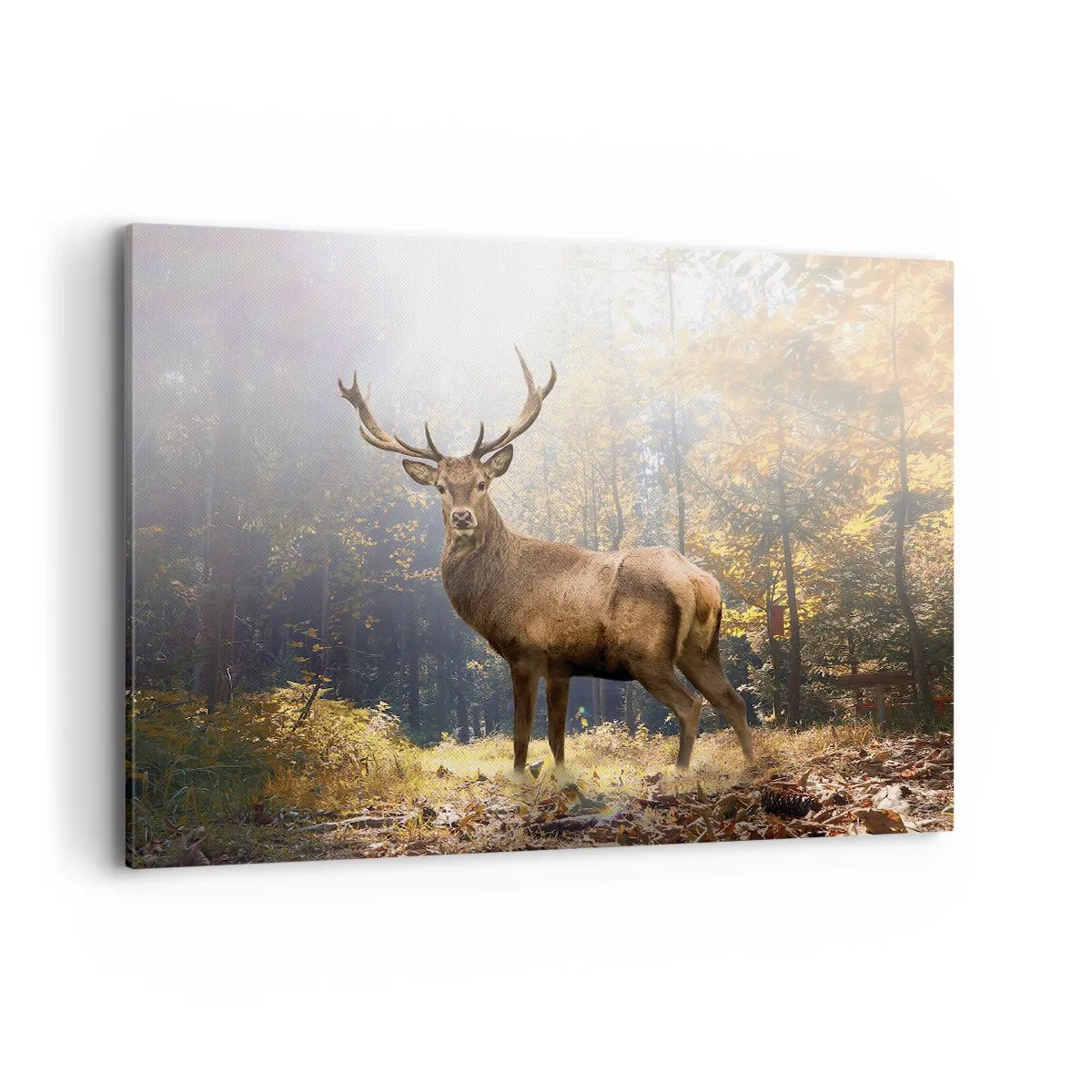 Bild auf Leinwand - Leinwandbild - Hirsch im herbstlichen Wald mit Sonnenstrahlen - 100x70cm - In voller Majestät - Moderne Wanddekoration für Wohnzimmer und Schlafzimmer ARTTOR