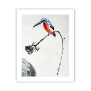 Poster - Das Leben der Wiese - 40x50 cm