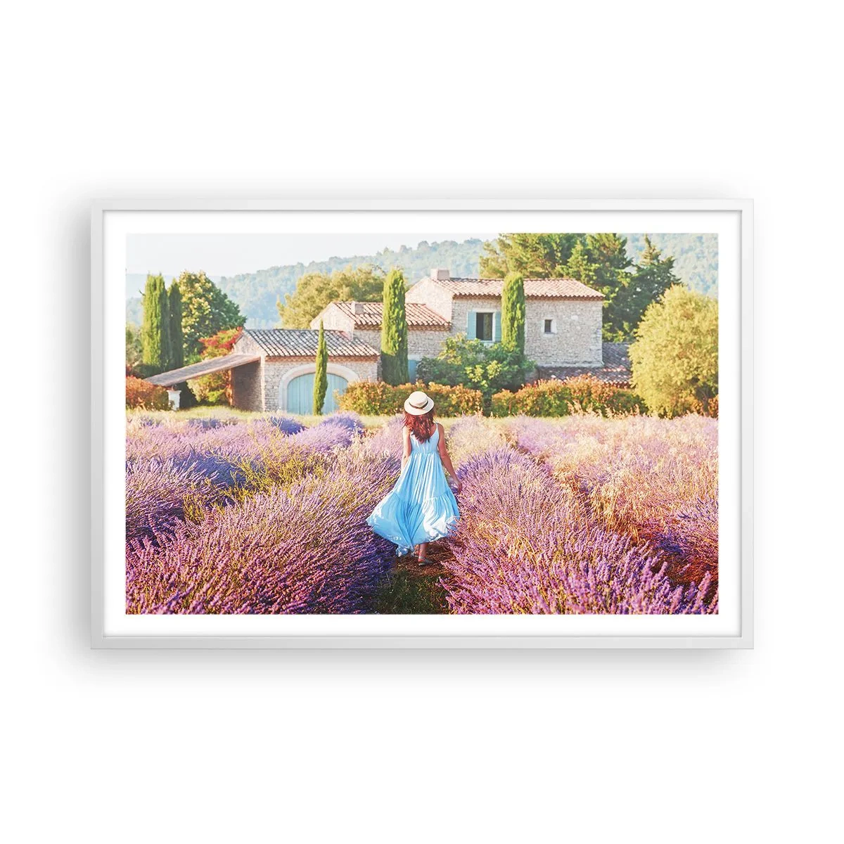 Poster in einem weißen Rahmen - Lavendel Mädchen - 91x61 cm