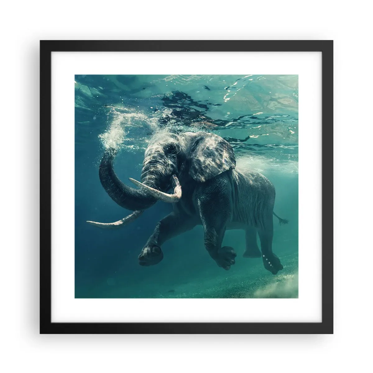 Poster in einem schwarzem Rahmen - Jeder schwimmt gerne - 40x40 cm