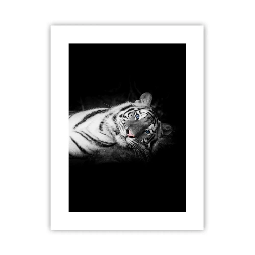 Poster - Wildnis und Frieden - 30x40 cm