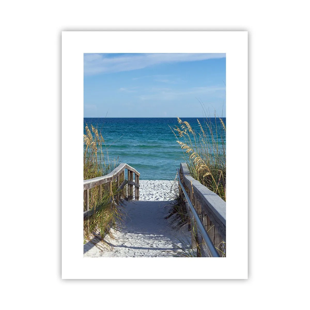 Poster - In der Sonne, im Wind - 30x40 cm