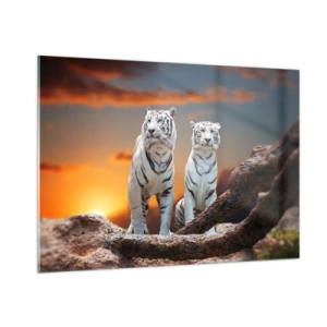 Glasbild - Bild auf glas - Weiße Tiger vor der untergehenden Sonne - 100x70cm - Genau wie Narnia - Moderne Wanddekoration für Wohnzimmer und Schlafzimmer ARTTOR