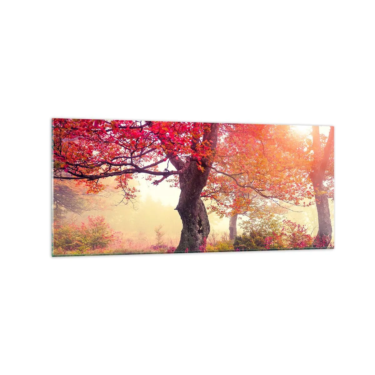 Glasbild - Bild auf glas - Herbstlandschaft mit Bäumen in intensiven Farben - 120x50cm - Blühende Raserei - Moderne Wanddekoration für Wohnzimmer und Schlafzimmer ARTTOR